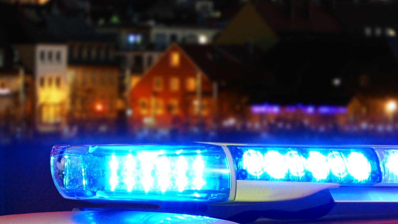 To store grønne blader med tydelige årer og blank overflate i svak belysning.